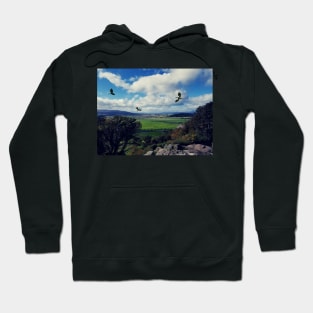 Dragons over Scotland Hoodie